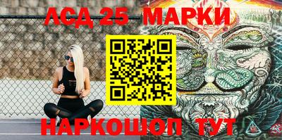 скорость Гатчина