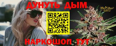 скорость Гатчина